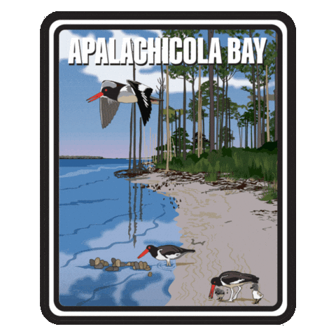 Aquatic Preserve Sticker by FLDEP