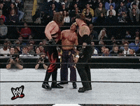 Royal Rumble Wrestling GIF by WWE