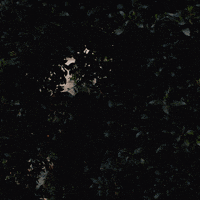 alex lawther netflix GIF by The End Of The F***ing World