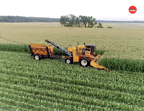 Work Farm GIF by BuzzFeed