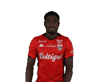 Ligue 2 Football Sticker by EA Guingamp