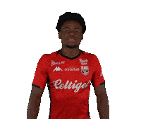 Ligue 2 Football Sticker by EA Guingamp