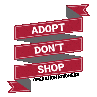 Adoption Adopt Sticker by Operation Kindness