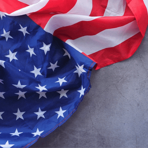United States Usa GIF