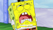 season 9 GIF by SpongeBob SquarePants