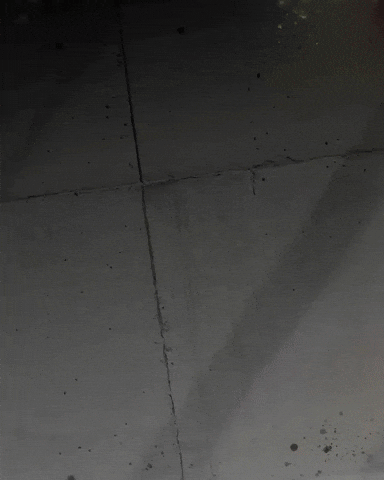 David Dvd GIF