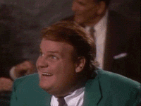 GIF by Giphy QA
