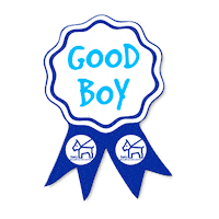 good boy dogs Sticker by Dan's Dog Walking & Pet Sitting