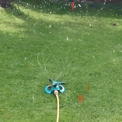 eddiesouza75f8 giphyupload GIF