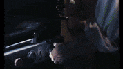 Cinema Paradiso Logo GIF by Arrow Academy