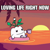 Happy Good Times GIF by Magic Eden