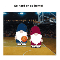 Sport Basketball GIF