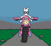 Road Trip Motorcycle GIF by Chippy the Dog