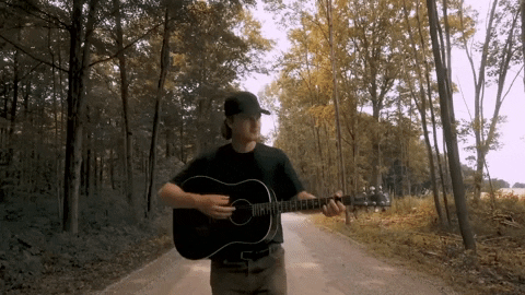 Guitar Forest GIF by Owen Riegling
