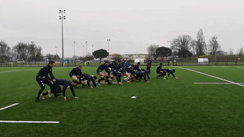 Agen_Rugby giphygifmaker rugby top14 sua GIF