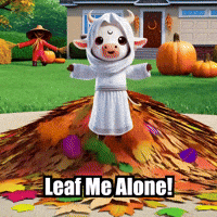 Fall Autumn GIF by Sagemoohammad