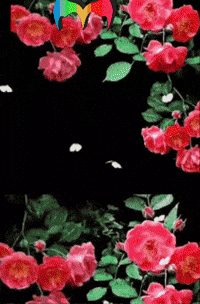 Sol Familia GIF by Murcianys LLC