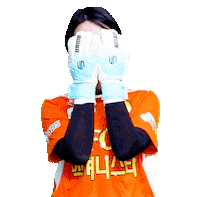 Football Sport Sticker