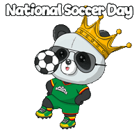 Happy Football Sticker by PandaPals