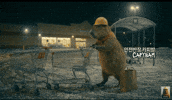 Work Driving GIF