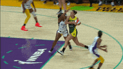 Los Angeles Sparks Tea Cooper GIF by The Official Page of the Los Angeles Sparks