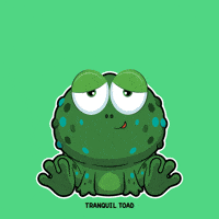 GIF by VeeFriends