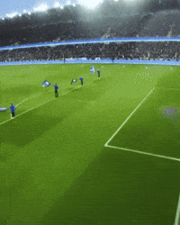 Tifo GIF by Club Brugge