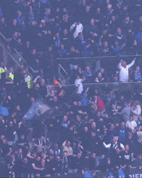 Nf13 GIF by Club Brugge