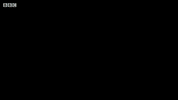 Cars Driving GIF by BBC