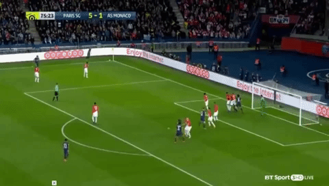 psg monaco GIF
