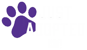 Cat Adopt Sticker by Merrick Pet Care