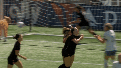 Goalcelebration Samcoffey GIF by National Women's Soccer League