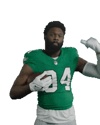 Fly Eagles Fly Football Sticker by Philadelphia Eagles