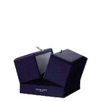 Sticker by chaumet