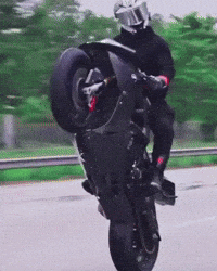 Mason GIF