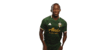 Portland Timbers Mls Sticker by Timbers