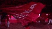 waving houston rockets GIF by NBA
