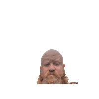 Beard Vikings Sticker by Vinnie Camilleri