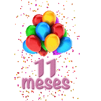 Festa 11 Meses Sticker