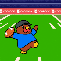 American Football GIF by COQINU