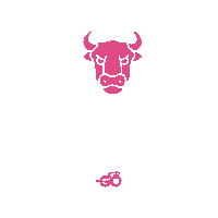 Ciclismo Giro Sticker by Go Rigo Go