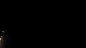 Celebrate Independence Day GIF by emibob