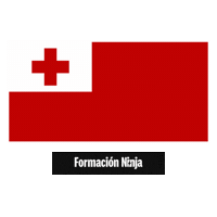 Flag Pixel Art Sticker by Formación Ninja
