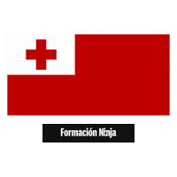 Flag Bandera Sticker by Formación Ninja