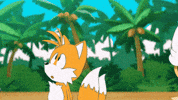 Sonic The Hedgehog Tails GIF