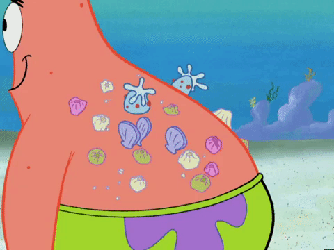 season 4 episode 10 GIF by SpongeBob SquarePants