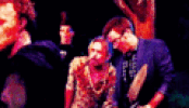 art images GIF