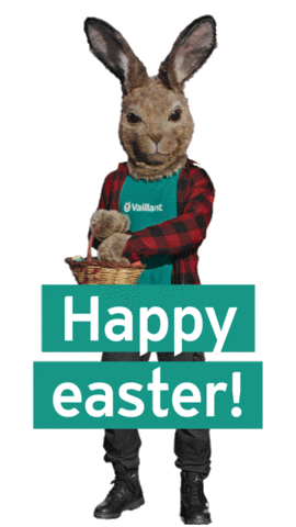 Vaillant_Central easter happy easter happyeaster hare Sticker
