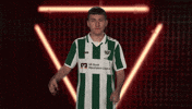 Preußen Münster Vbl GIF by Bundesliga