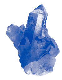 Soptata Sticker by SOPHIENSÆLE